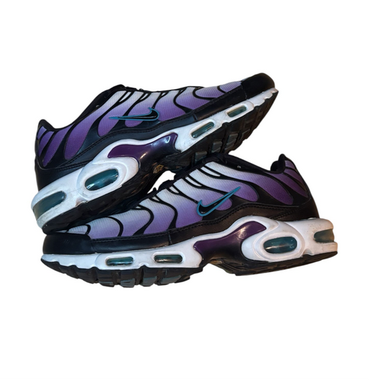 Nike TN airmax 9.5